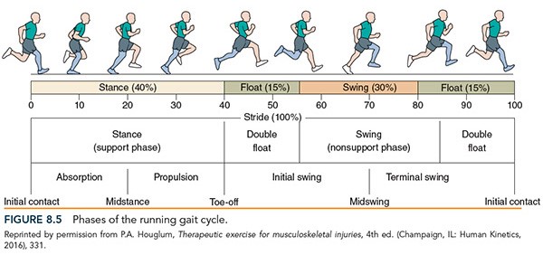 Running gait phases